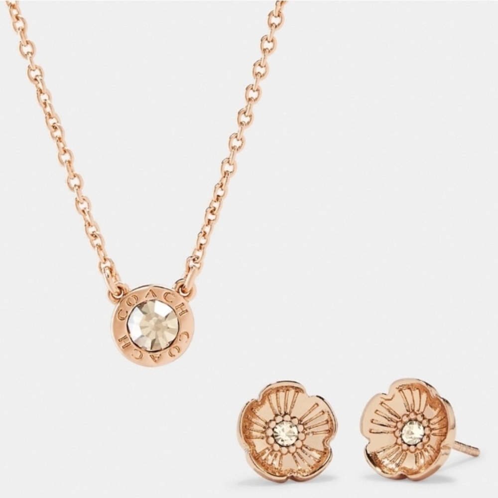 Coach | Open Circle Chain & Tea Rose Earrings Set - Picture 1 of 1